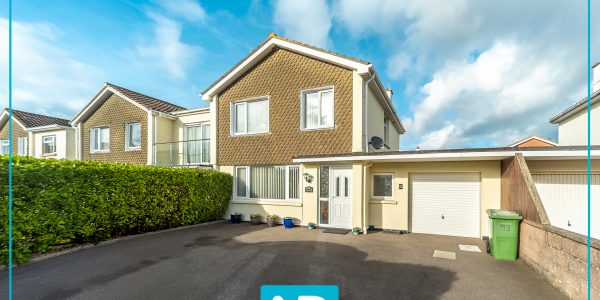 Facebook post logo with border