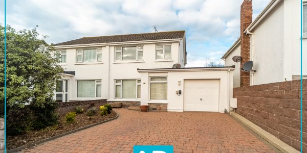 Facebook post logo with border