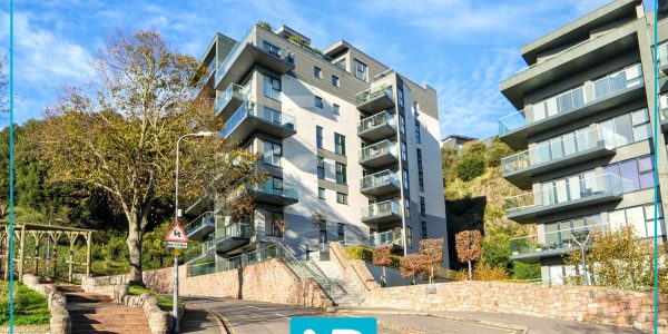 Facebook post logo with border